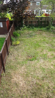 DSC07777.JPG