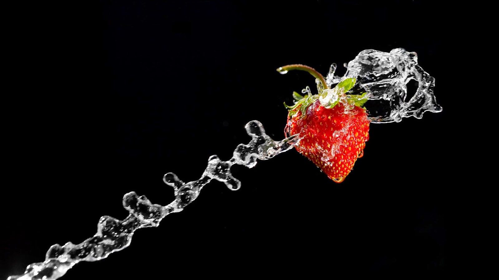 House Of Wallpapers | Free download High Definition Wallpapers