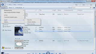 Display Song Lyrics in Windows Media Player_4