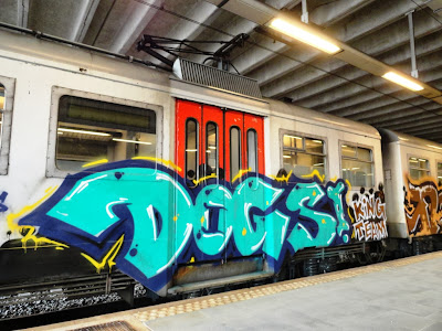 art on train