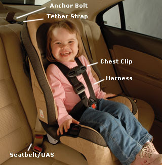 child restraint rules