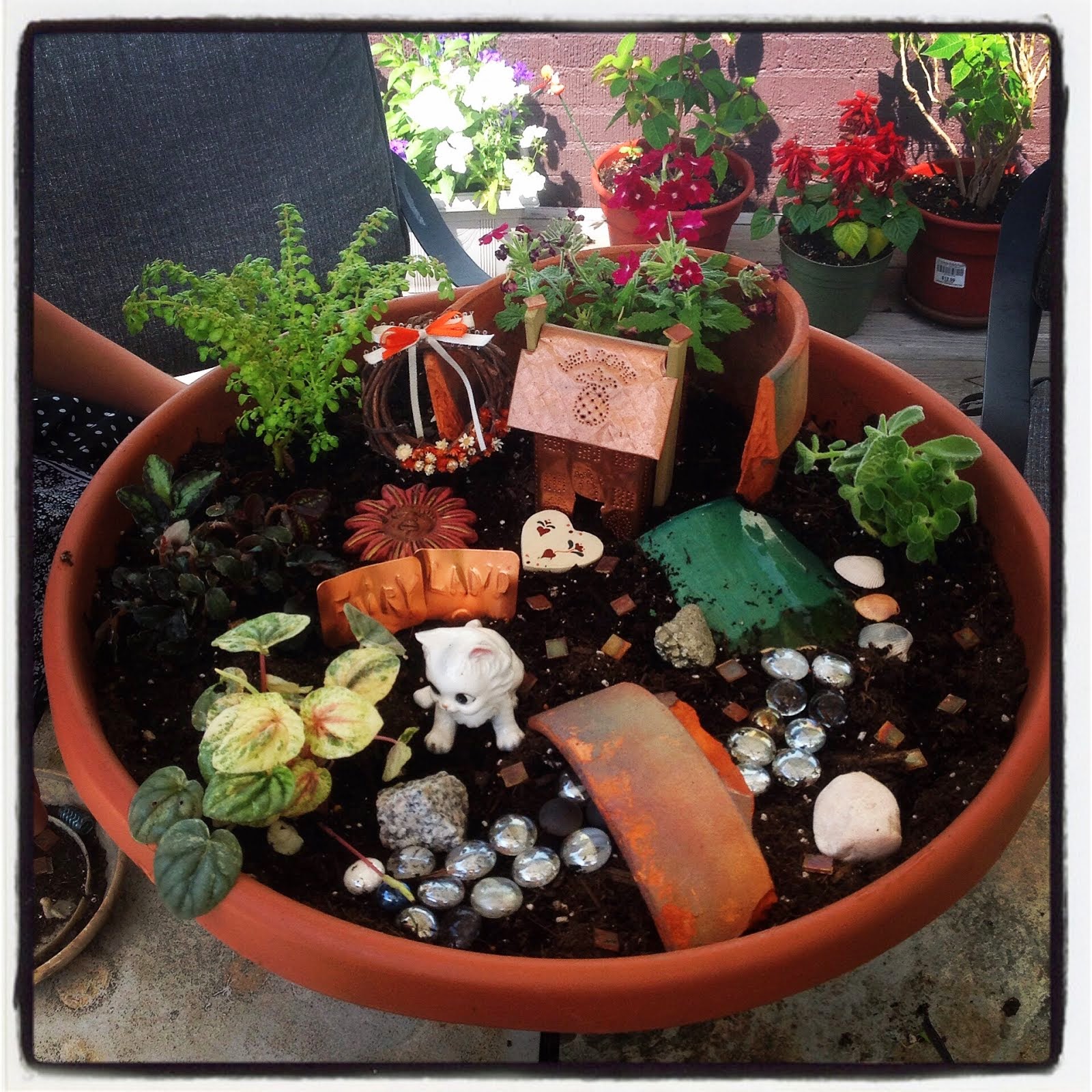 Fairy garden