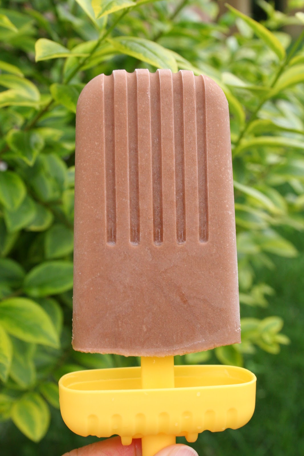 The Healthy Happy Wife Fudgesicles or Chocolate Popsicles; 2 Recipes
