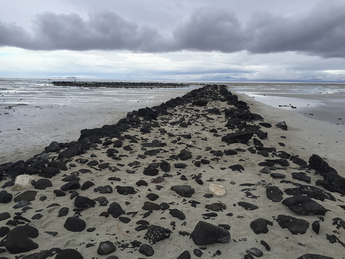 spiral jetty today spiral jetty today