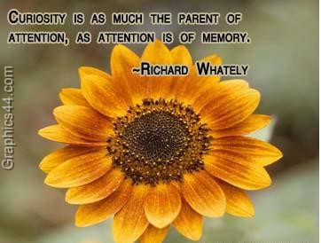 Muhammad Nouman Ali sheroz Awais iqbal Talha Mohsin Riaz: curiosity