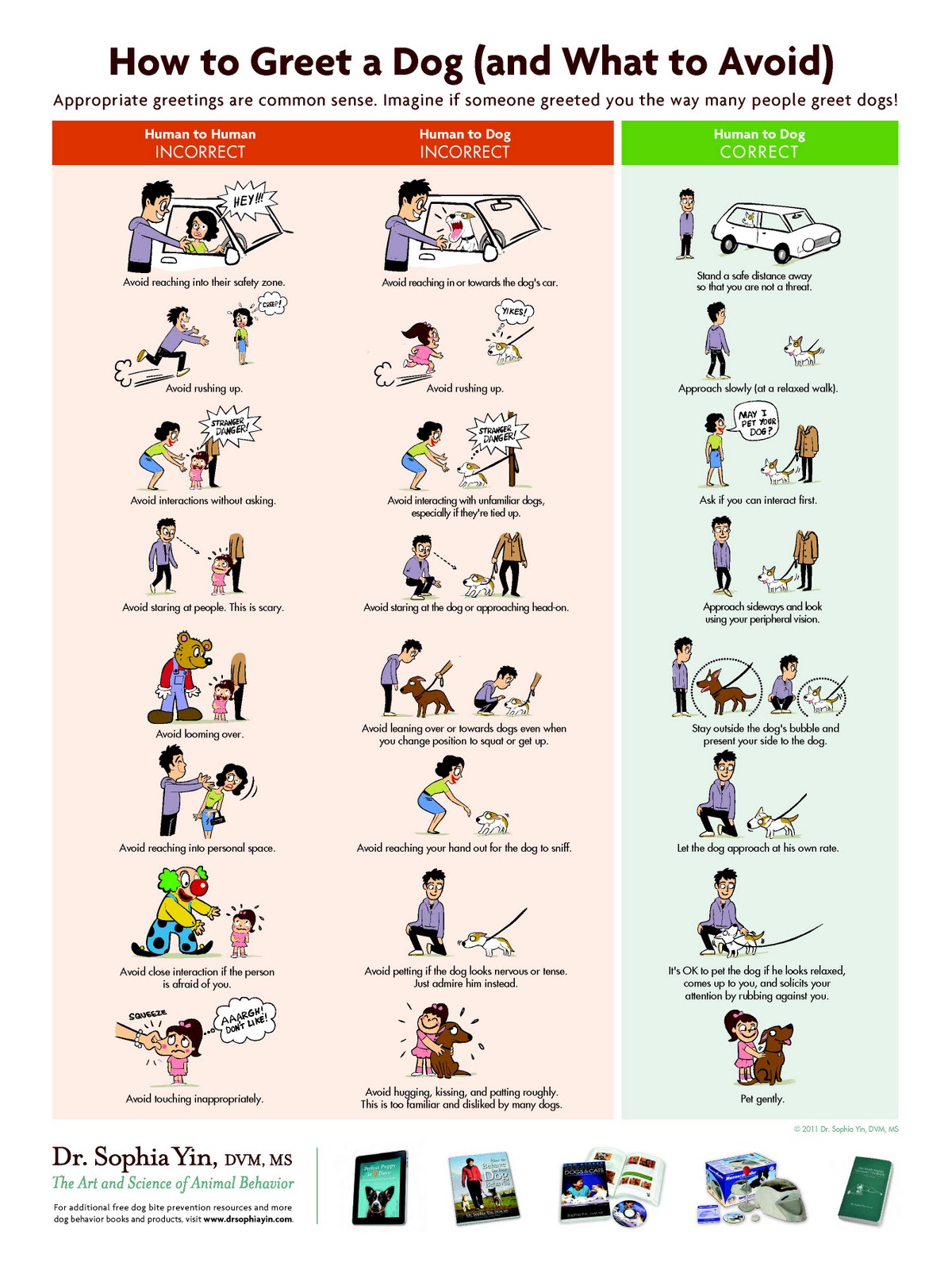 Singapore Tails Of Cats My Experience with Singapore Strays (Part 2)