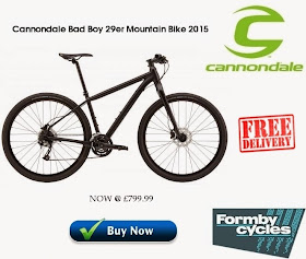 cannondale bad boy 29er