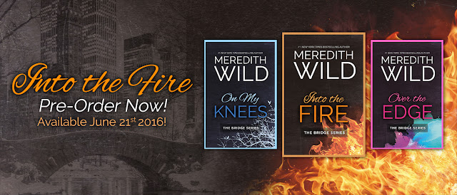 Into the Fire by Meredith Wild PreOrder Blitz + Giveaway