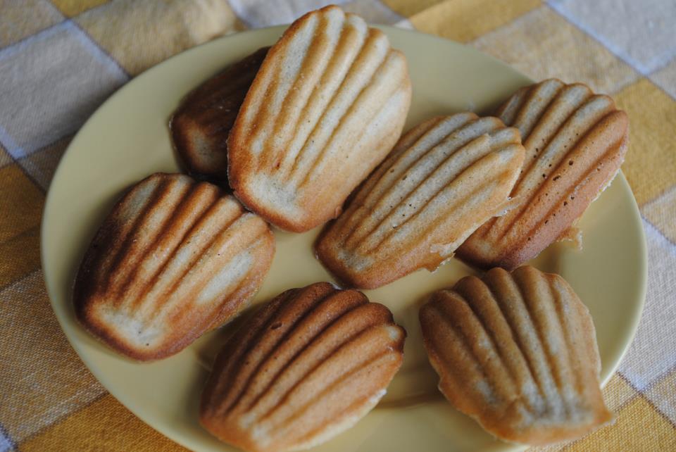 All I want for xmas is.... coconut madeleines Cookie Sundays
