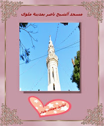 مسجد الشيخ ناصر قبلى البلد بمدينة ملوى
