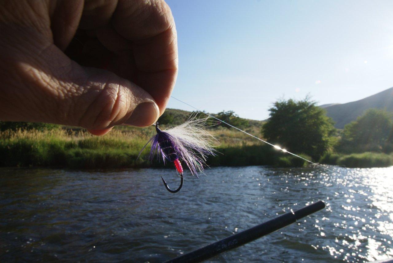 Deschutes Steelhead Fly Favorite The Vacuum Cleaner Water Time