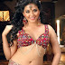 Actress Anjali Unseen Pics