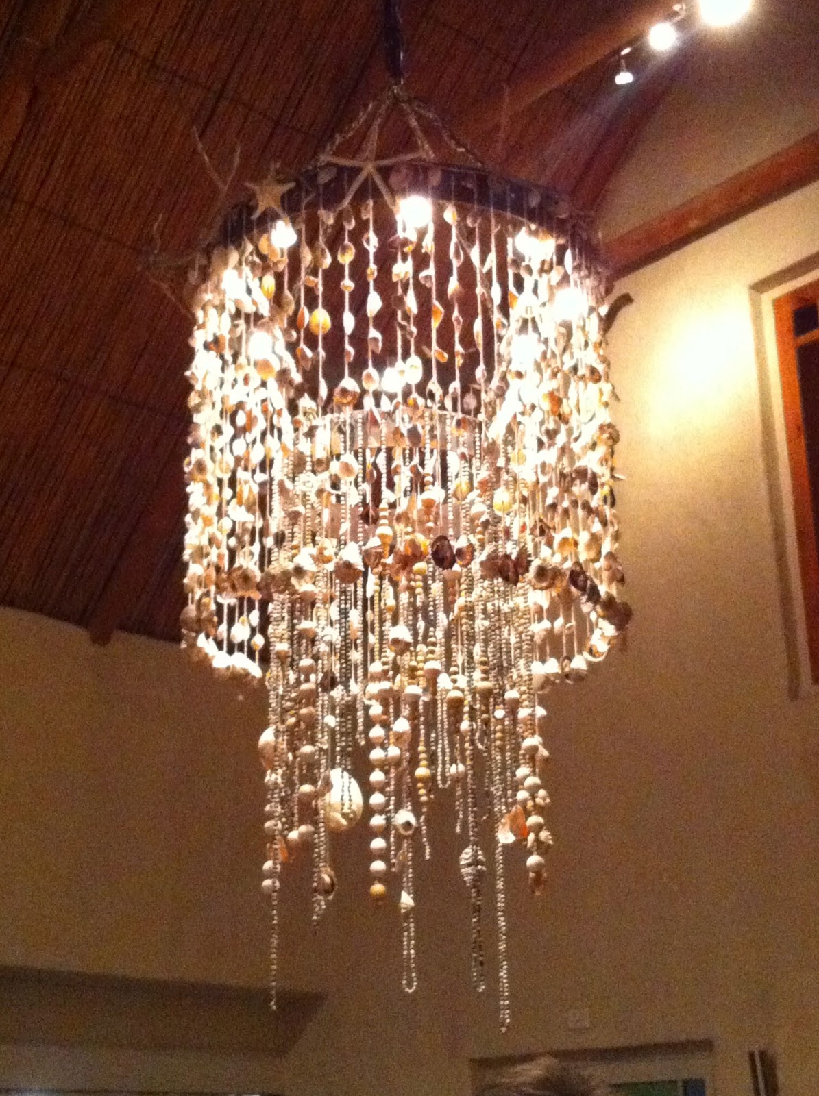 William Morris Fan Club: Beach walk bonanza, a shell chandelier