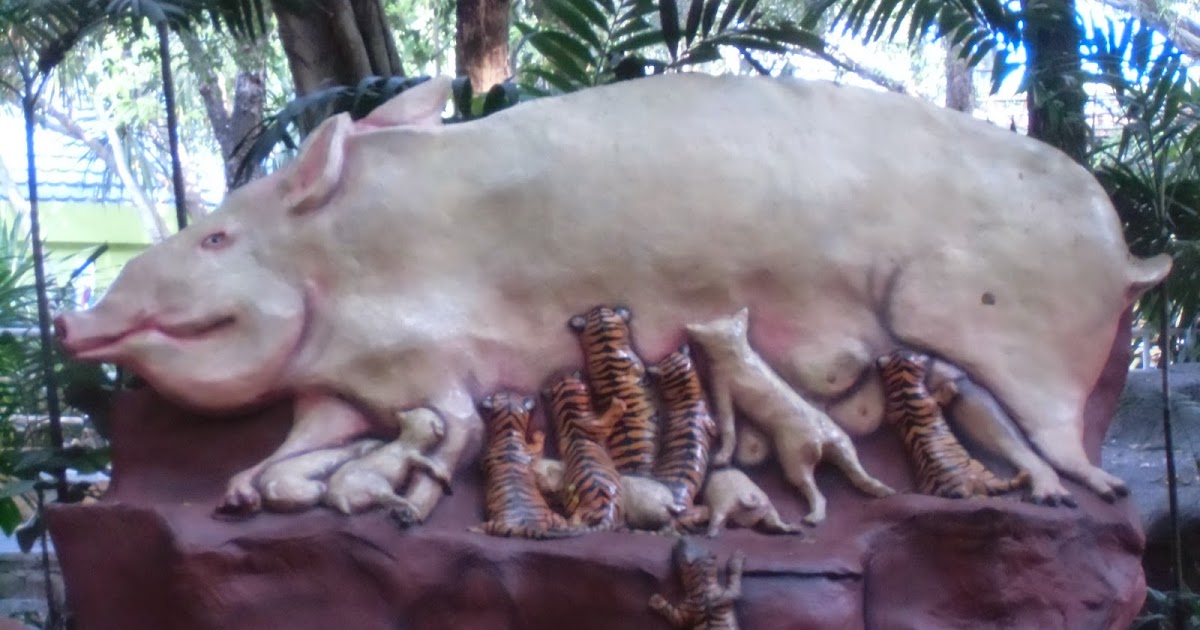 たかちゃんの徒然草 タイの生活日記 その２４