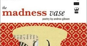 Girl With A Pen And A Dream Book Review The Madness Vase By