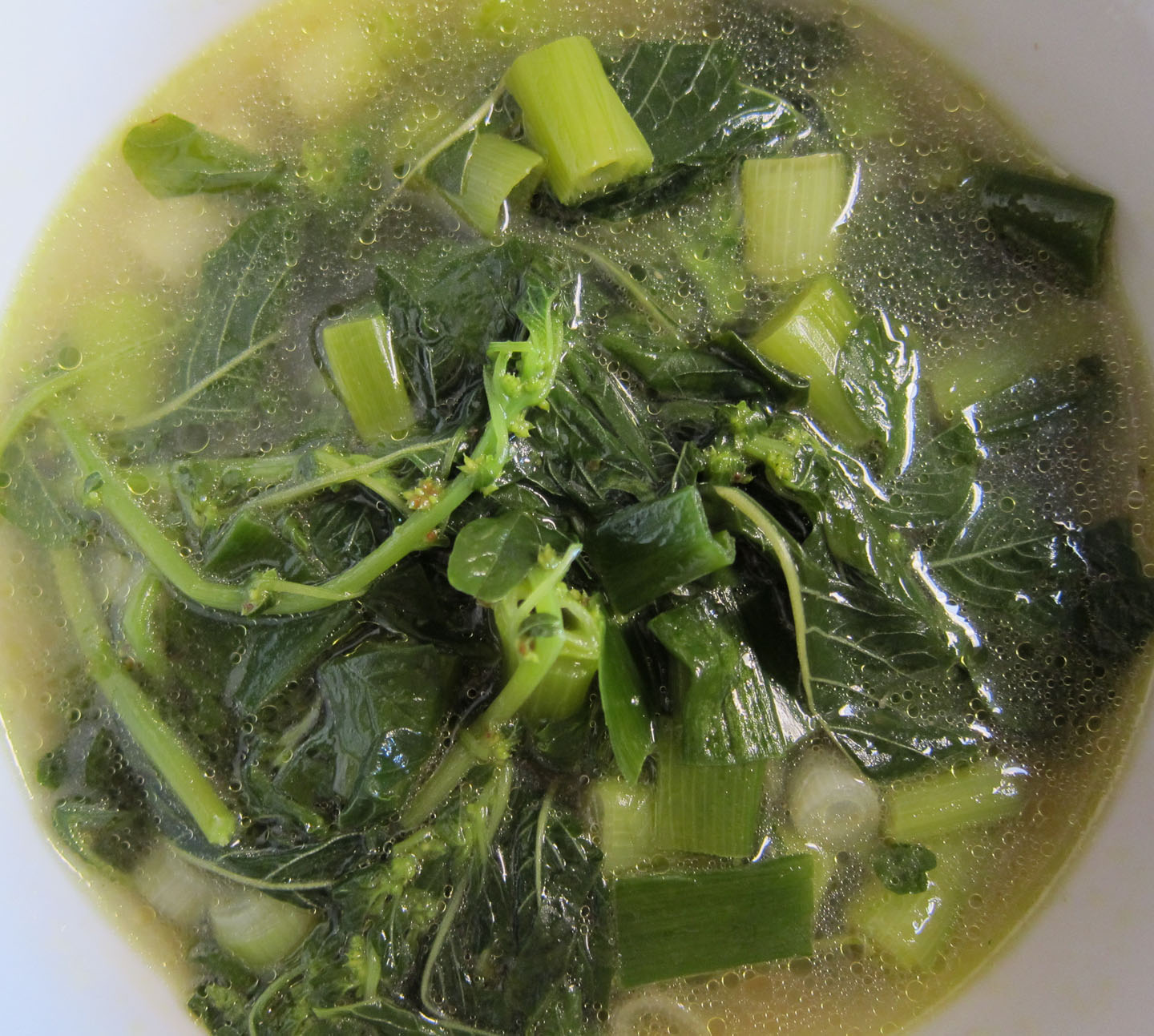 66 Square Feet (Plus) Eating pigweed