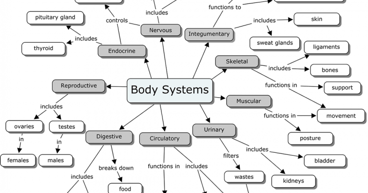 Helping People In Their Journey - Systems