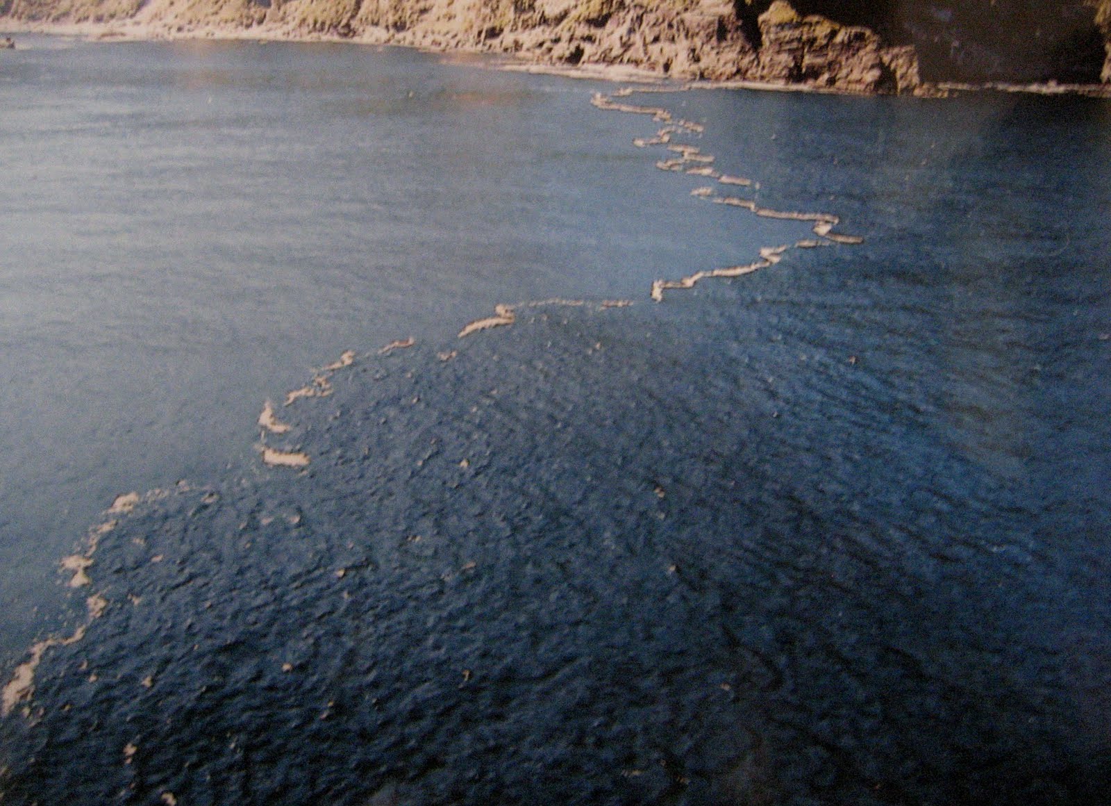 Cruise the Pacific: Doubtful Sound: Scenic Cruising