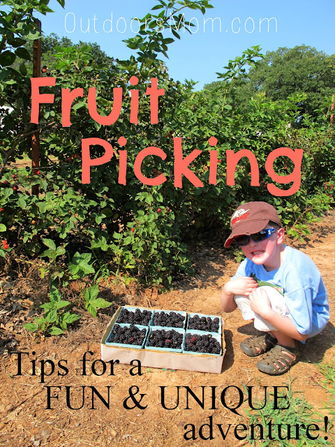 Fruit Picking - Add Adventure Without Adding Cost. Fruit Picking - Add Adventure Without Adding Cost.