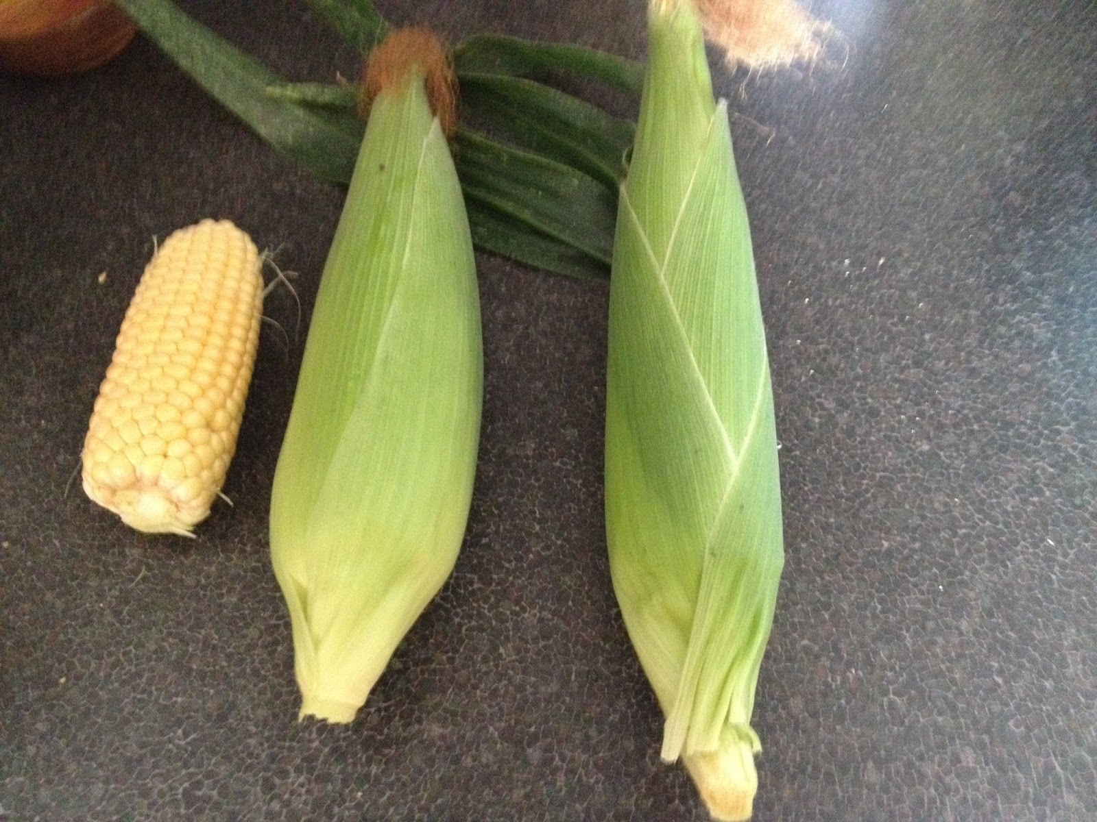 Growing Sweet Corn The Greening of Gavin