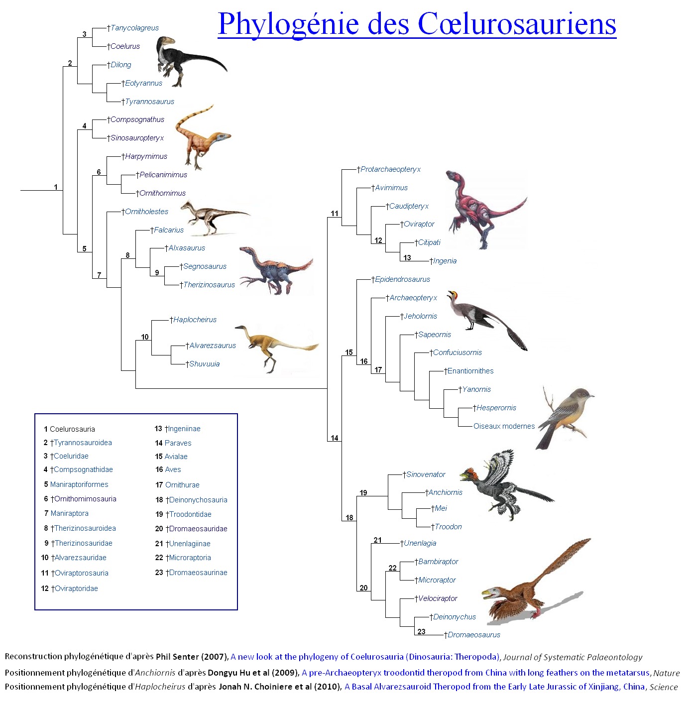 C%25C5%2593lurosauriens.jpg