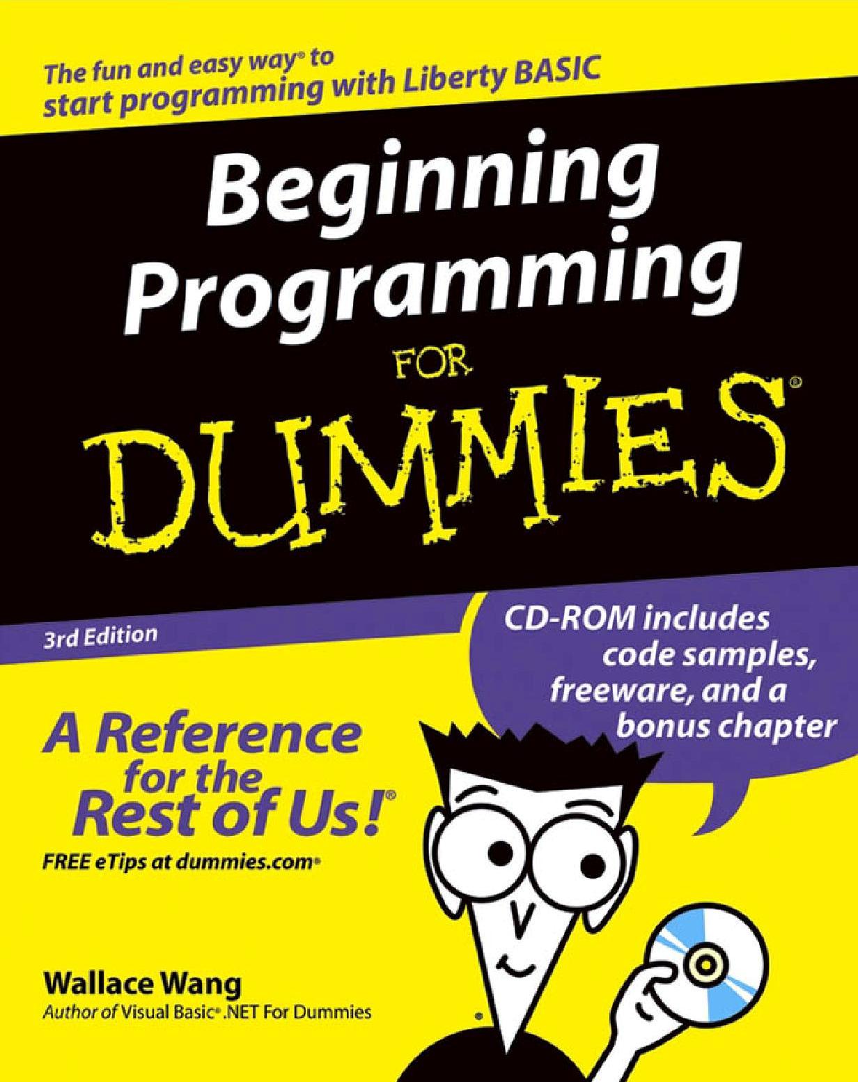 Computer Program Writing For Dummies