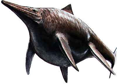 Shonisaurus.jpg