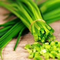 Tanaman herbal yang dapat membantu menyembuhkan penyakit ini salah satunya adalah daun kuc Daun Kucai Herbal Aktif Untuk Atasi Keseleo