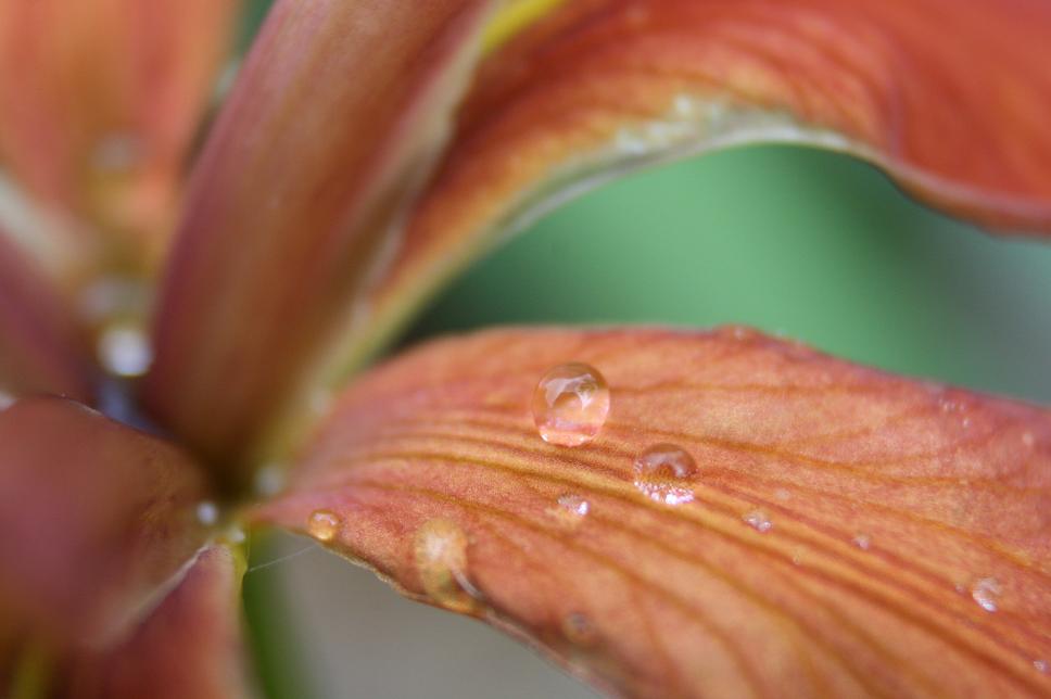 T h e D e e p M i d d l e The Picture Post