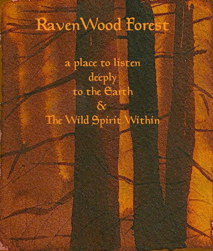 RavenWood Forest