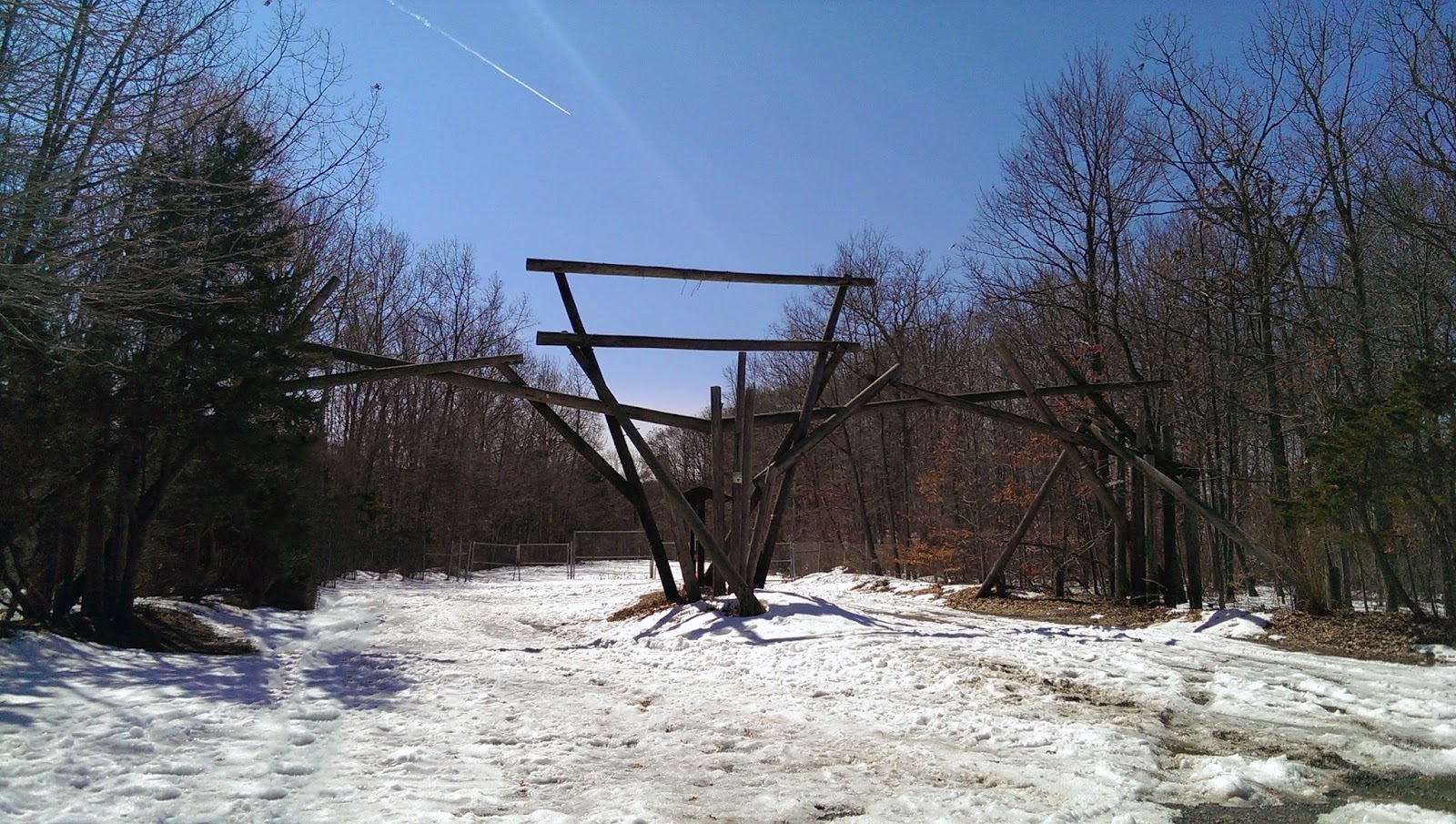 Jungle Habitat • [Onwards Outdoors]