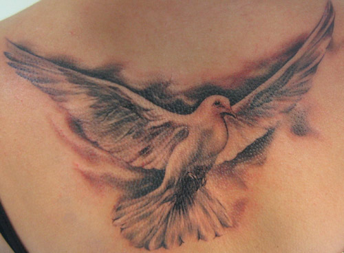 dove tattoos images1