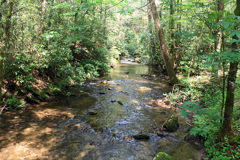 JOYFUL REFLECTIONS Parson Branch Road in the SmokiesPart I
