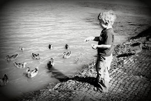 Kids & Ducks