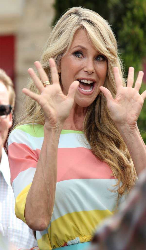 Christie Brinkley Print Dress | Celebrities style