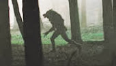 Dog Soldiers - 2002