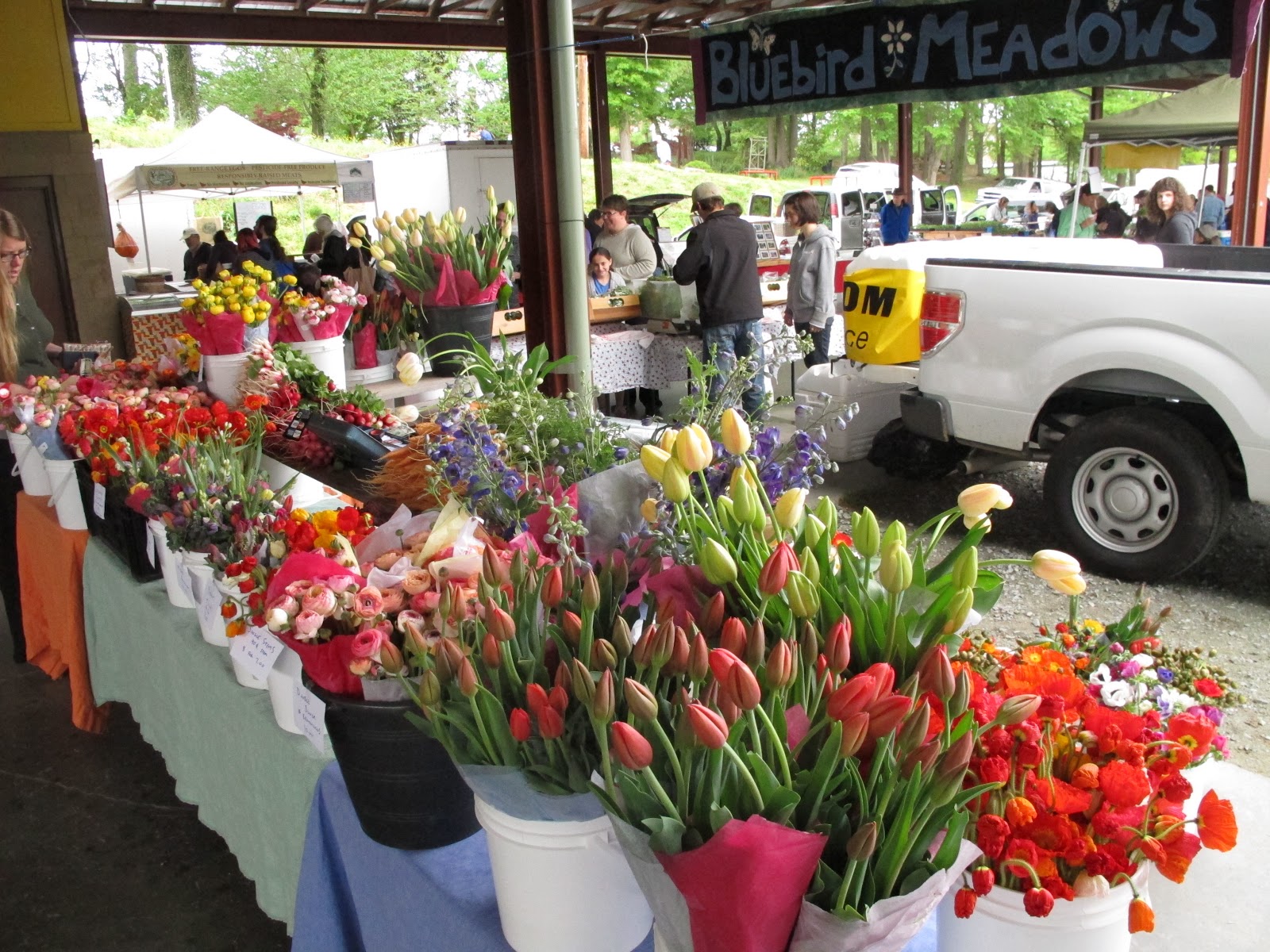Bluebird Meadows Local. Durham. Flowers. (and produce of course).