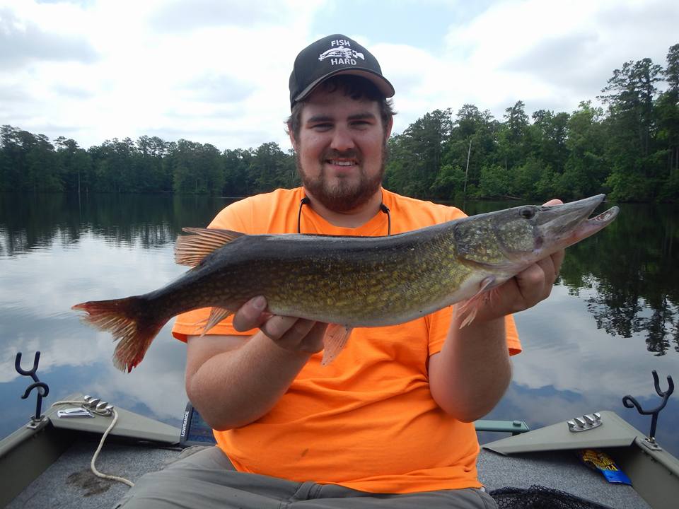 Peelin' Drag Extreme Fishing Chain Pickerel
