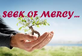 Seek of Mercy