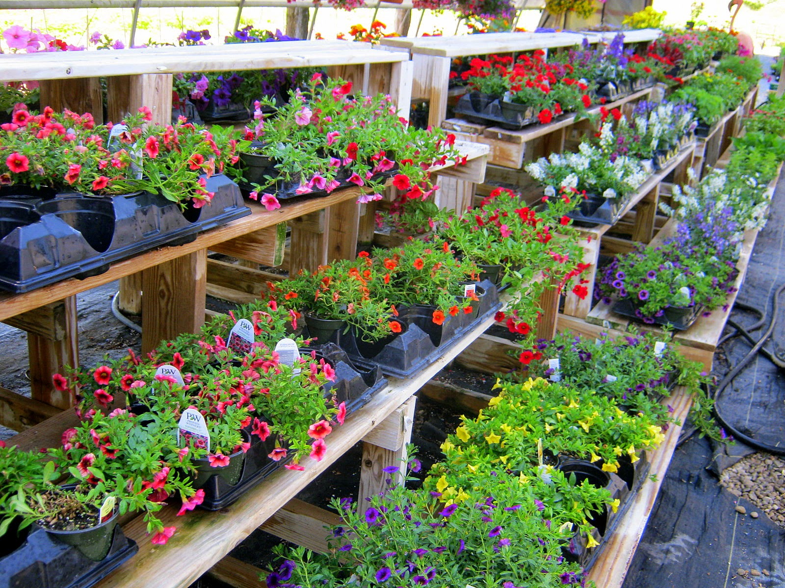 Lavender Garden Cottage Cottage Style Party & The Whimsical Nursery