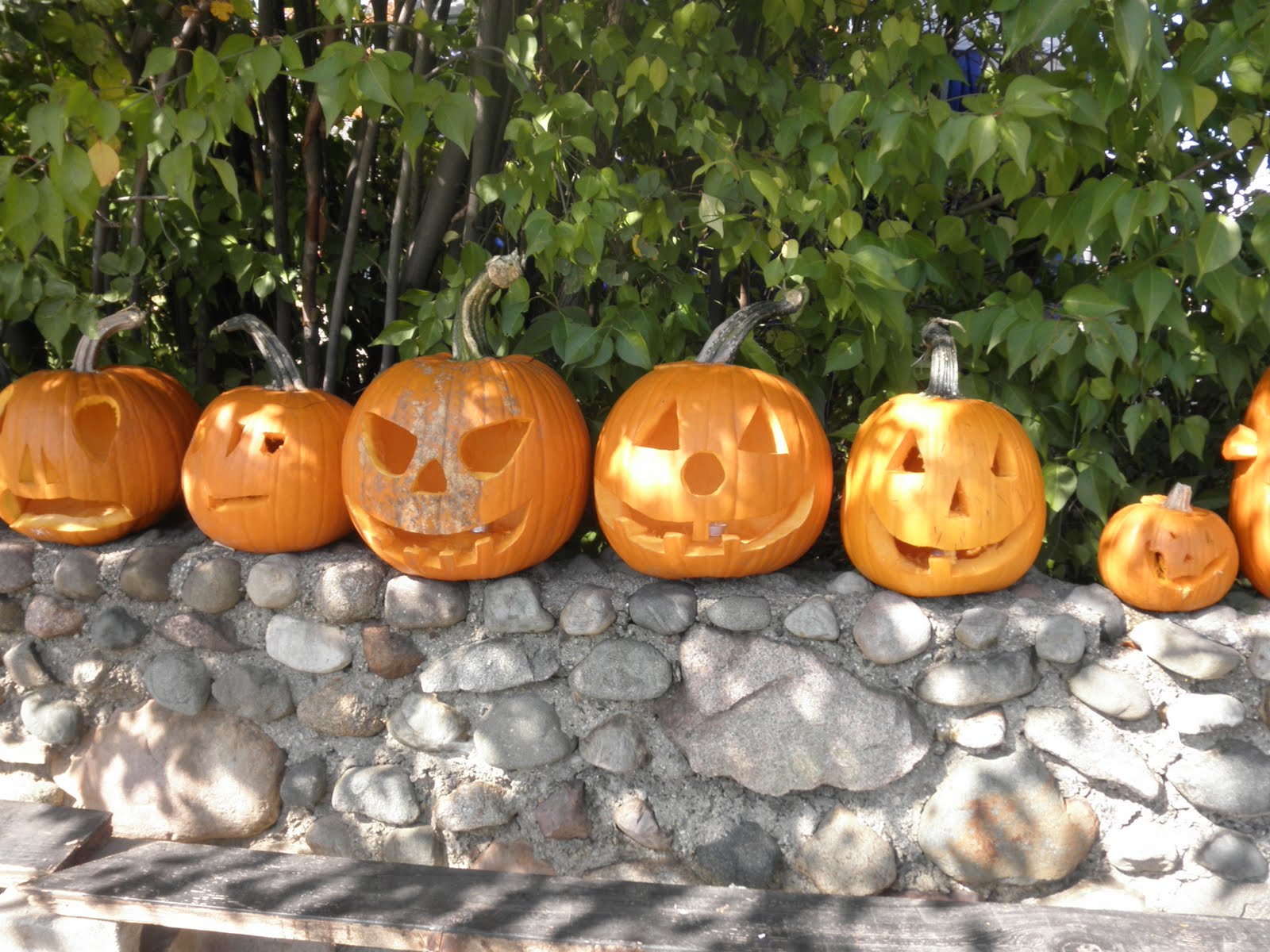 Recalled+to+life+reginald+hill