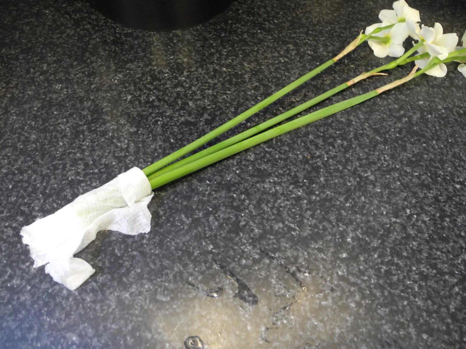 Busy and the Beans Paper Plate Flower Vase