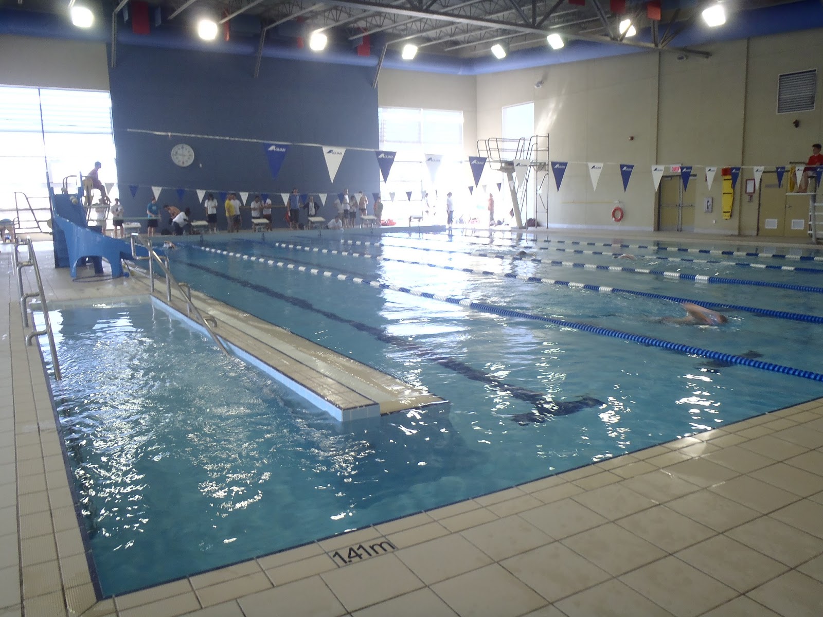 Swim Meet Competitions Ottawa Sharks Masters Swim Club