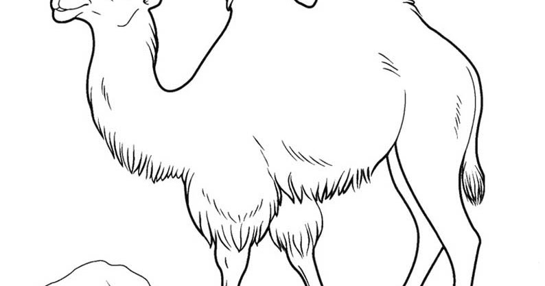 Desene De Colorat Si Planse Educative Planse De Colorat Cu