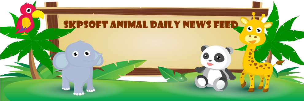 SkpSoft Animal News Feed