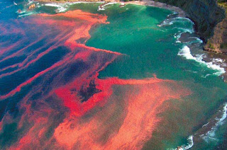 10 Fenomena Alam unik dan Aneh yang Menakjubkan Di Dunia ~ basabasi