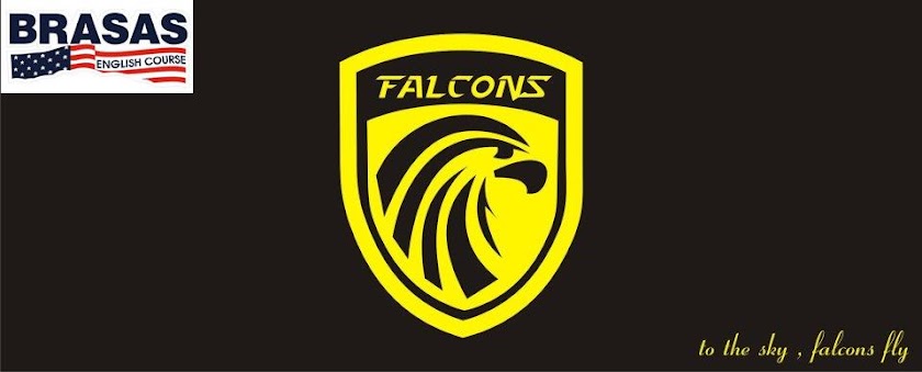 Volta Redonda Falcons FA