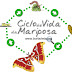 Ciclo de vida da Mariposa
