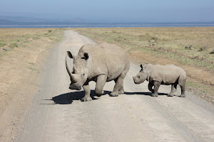 Kenya: December 2011