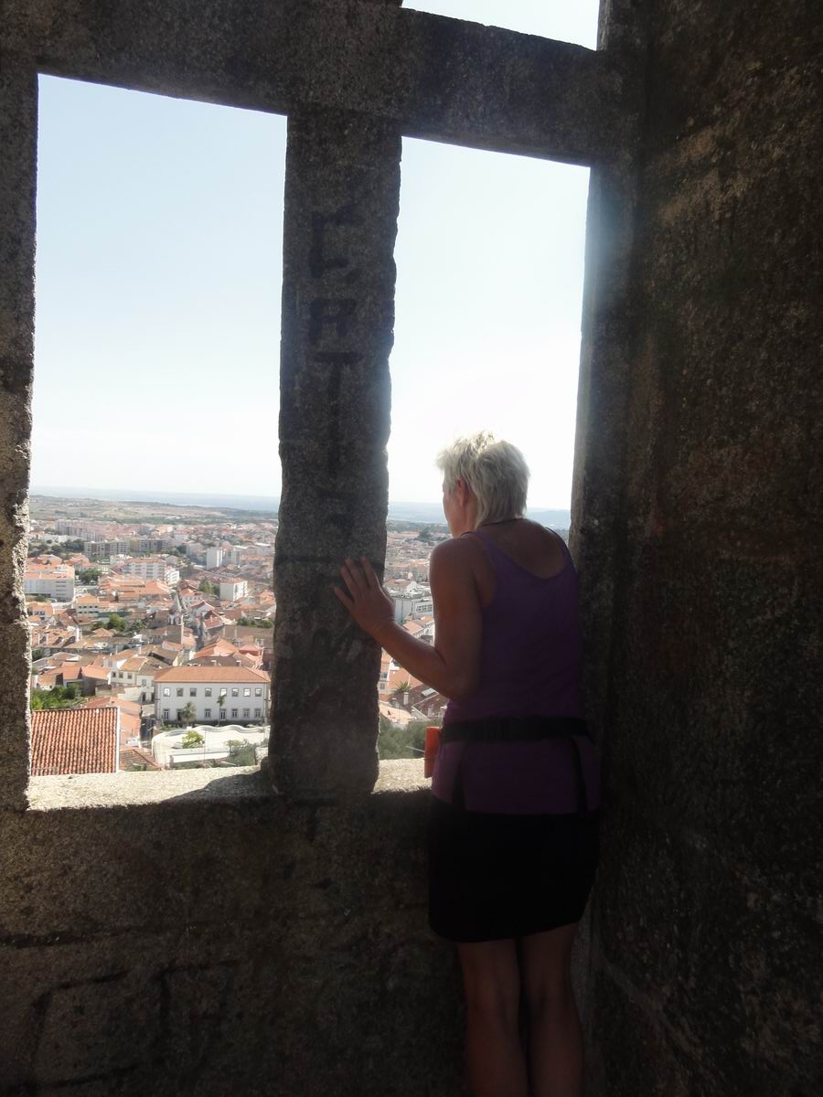 Franzosisches Kaltblut Tom S Reitsportstadl Kaltblutbedarf